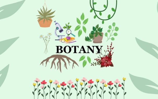 Botany